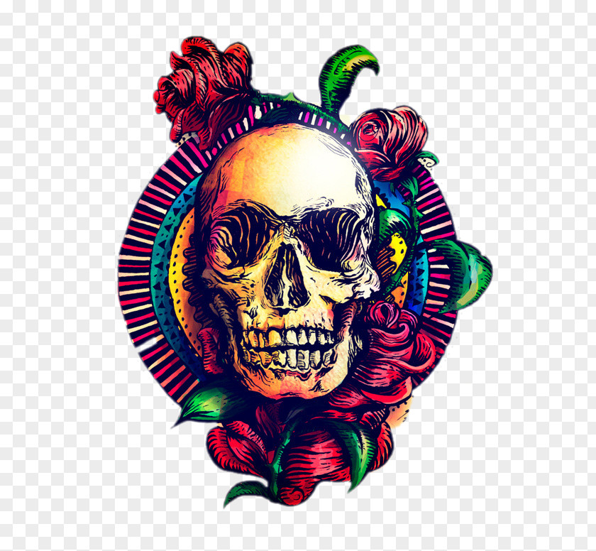 Cool Skull Art Calavera Human Skeleton Png Image Pnghero