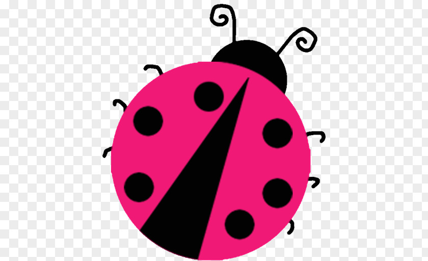 All Colors Clip Art Ladybird Beetle Illustration Image PNG