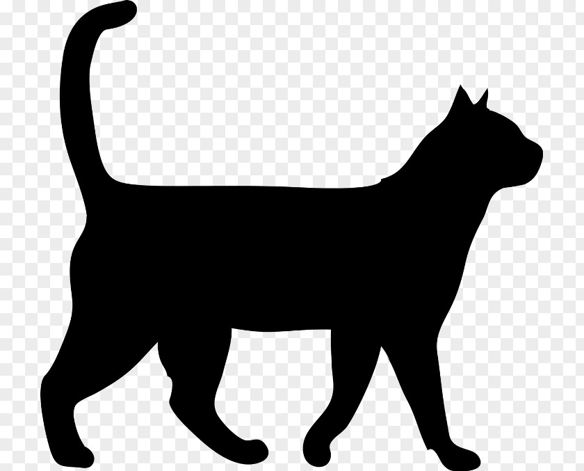 Chartreux American Bobtail Dog And Cat PNG