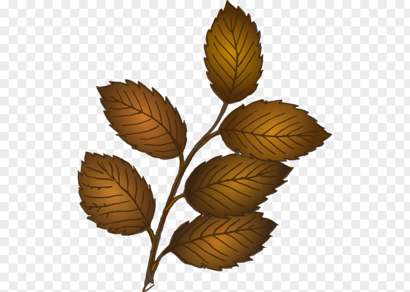 Fall Branch Leaf Clip Art PNG