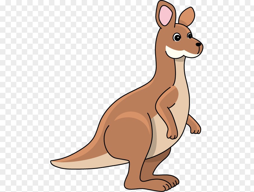 Kangaroo Cliparts Clip Art PNG