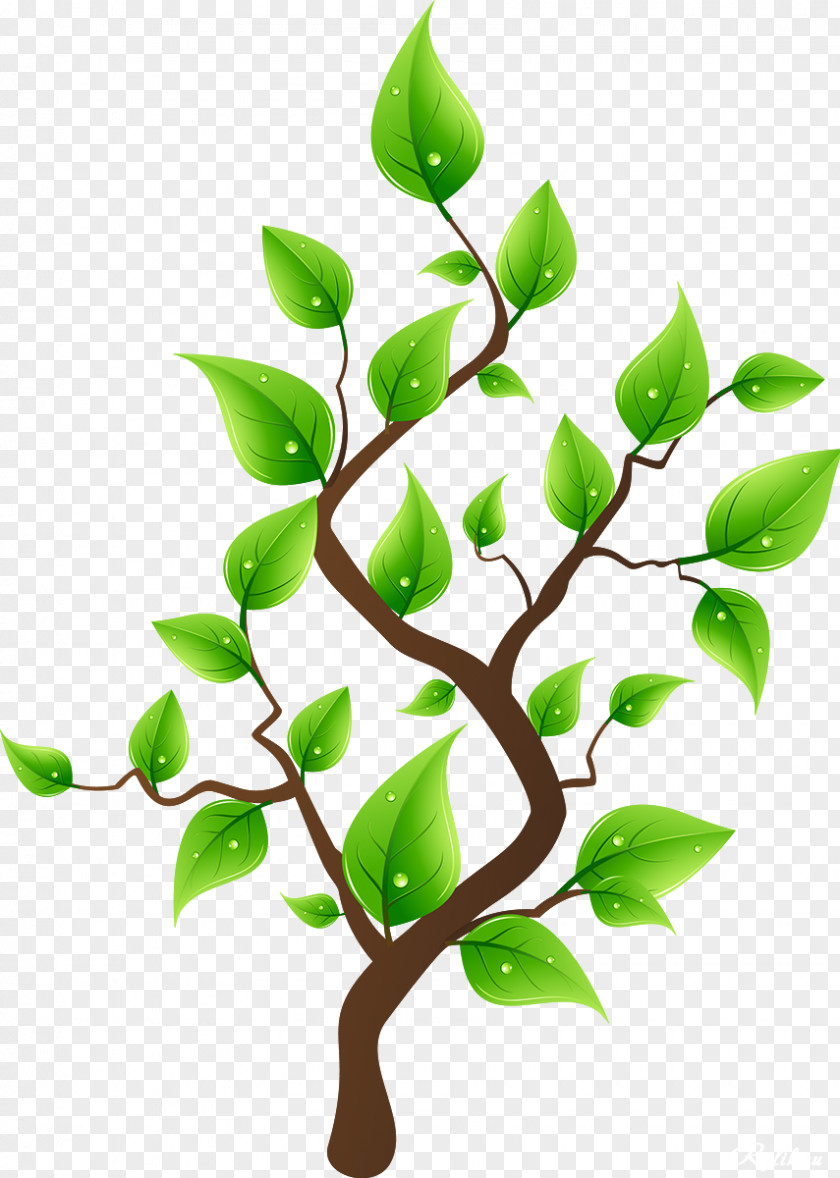Tree Branch Planting Drawing Clip Art PNG