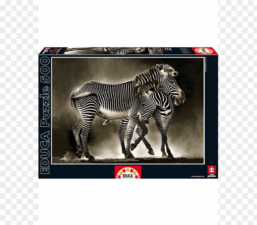 Jigsaw Puzzles Zebra Educa Borràs At The Water Hole PNG the Hole, zebra clipart PNG