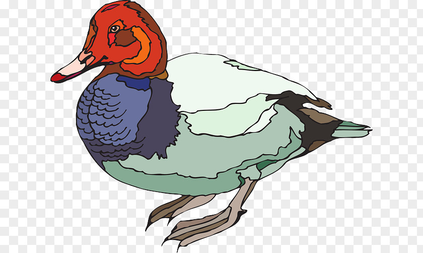 Pink Bird Duck Goose Clip Art PNG