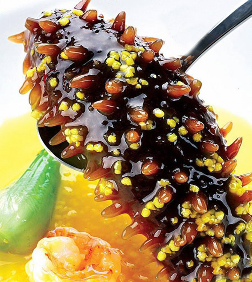 Sea Cucumber As Food Seafood Pickled Edible Birds Nest PNG