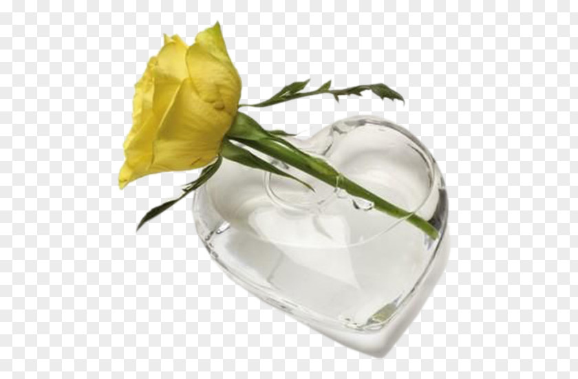 Vase Heart Studio Glass Love PNG