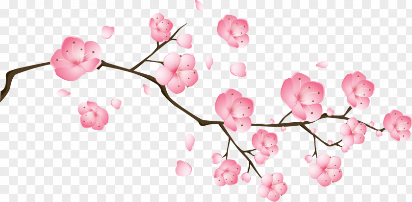 Vector Pink Peach Flowers Blossom Drawing PNG