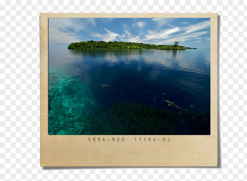 Water Resources Picture Frames Inlet Rectangle PNG