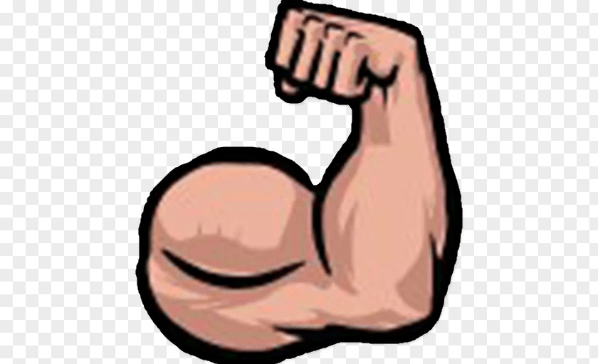 Arm Muscle Biceps Clip Art PNG