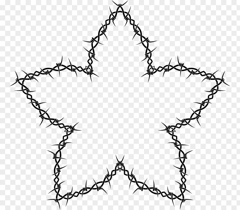 Barbwire Flower Cherry Blossom Black And White Clip Art PNG