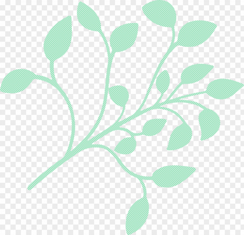 Petal Branch Leaf Drawing Plant Stem PNG