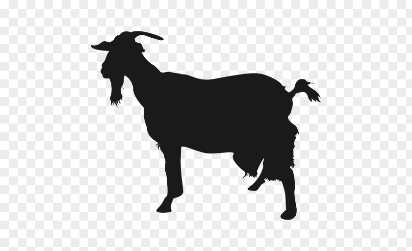 Enterprises Album Sheep Boer Goat Clip Art PNG