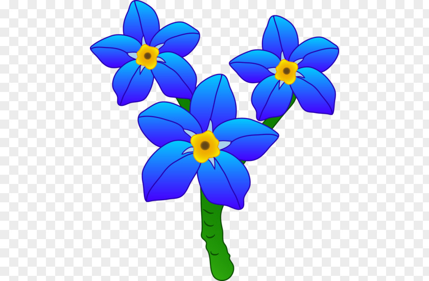 For Get Me Not Drawing Flower Clip Art PNG