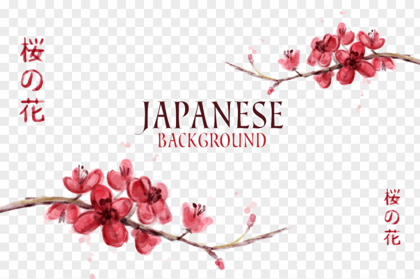 JAPANESE Peach Picture Material Cherry Blossom Download PNG