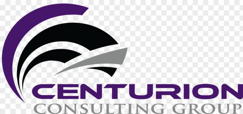 Business Centurion Consulting Group Small Consultant Firm PNG