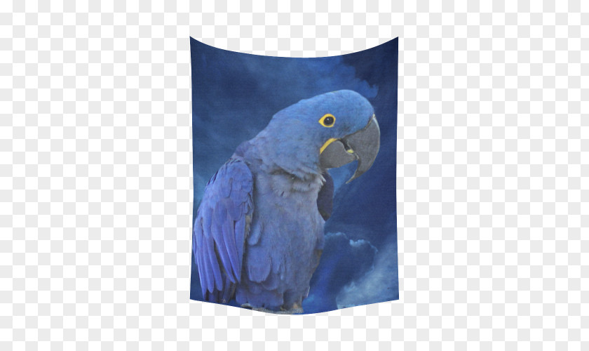 Hyacinth Macaw Parrot Cobalt Blue Beak PNG