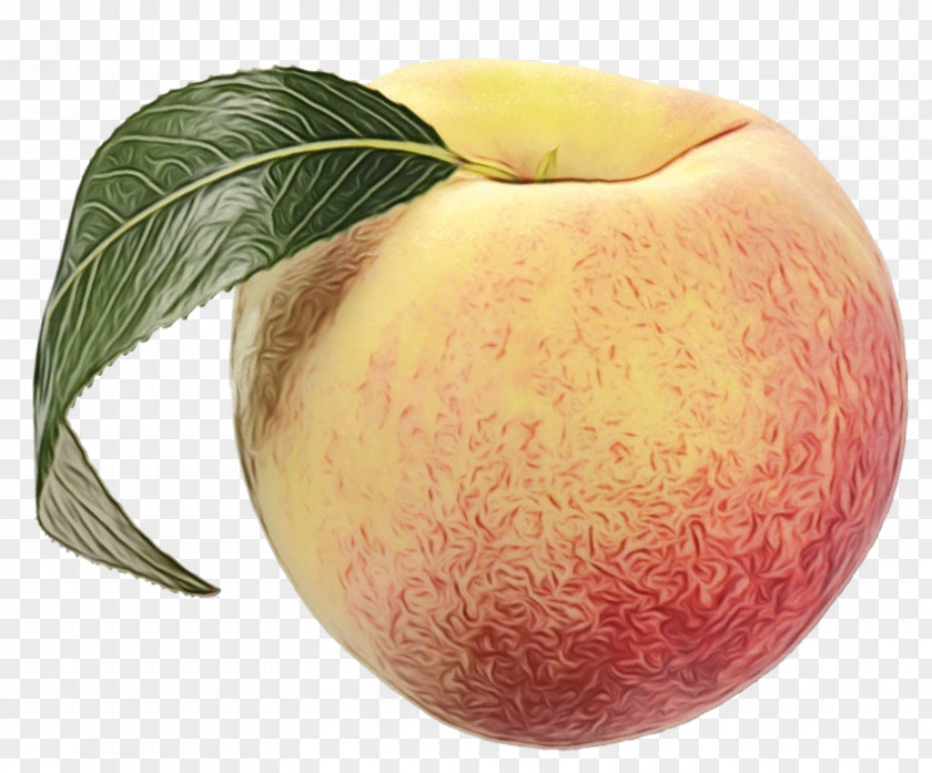 Peach Apple PNG