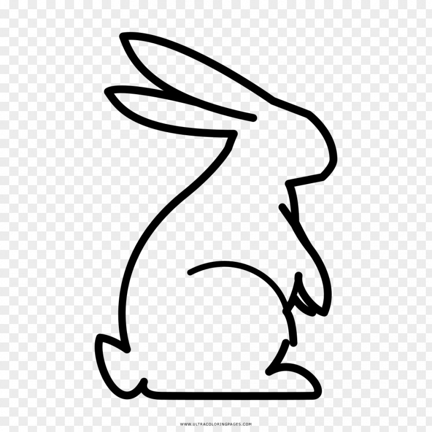 Rabbit Black And White Drawing Line Art PNG
