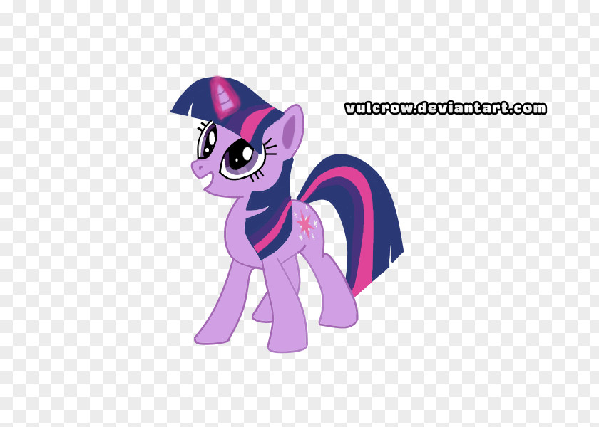 Unicorn Sparkle Twilight Pony Derpy Hooves Rarity Rainbow Dash PNG