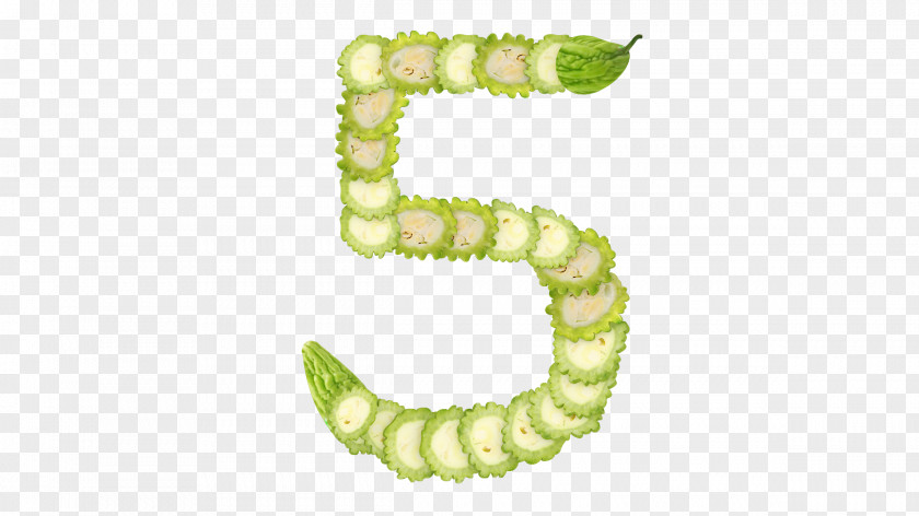 Vegetable People Worm Insect Font Larva PNG