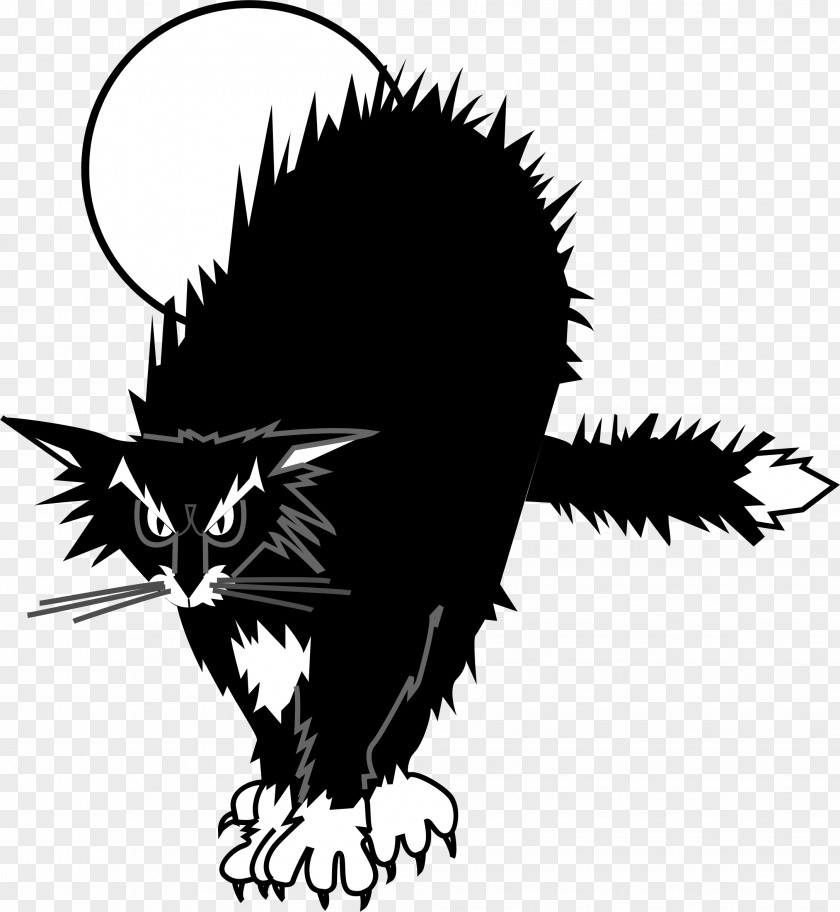 Black Cat Drawing Clip Art PNG