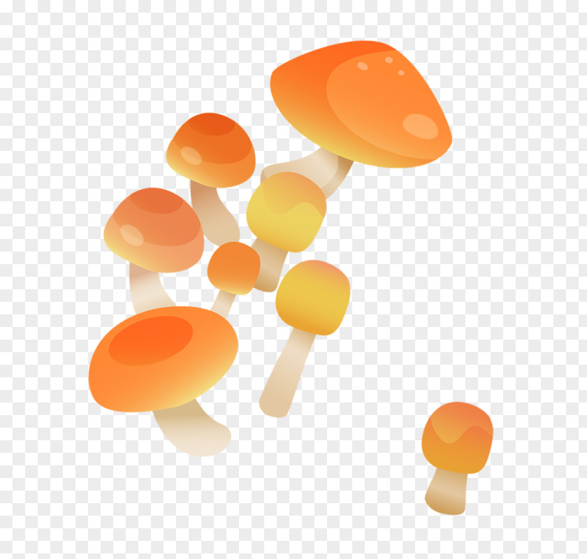 Cartoon Mushrooms Mushroom Fungus PNG