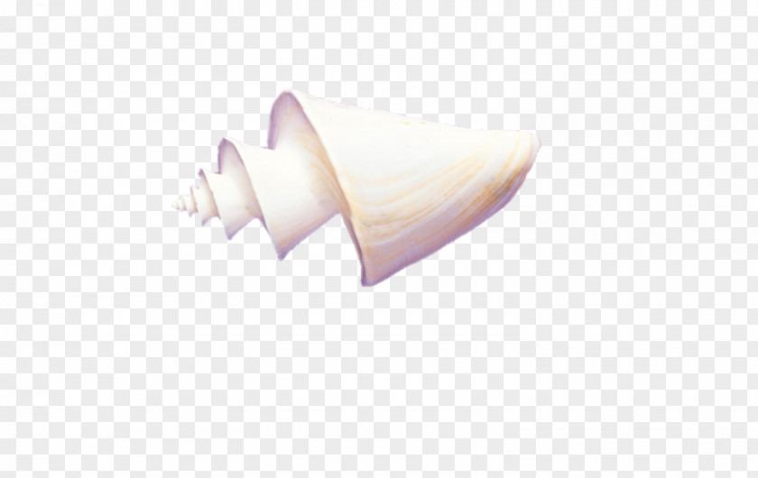 Conch Finger Angle PNG