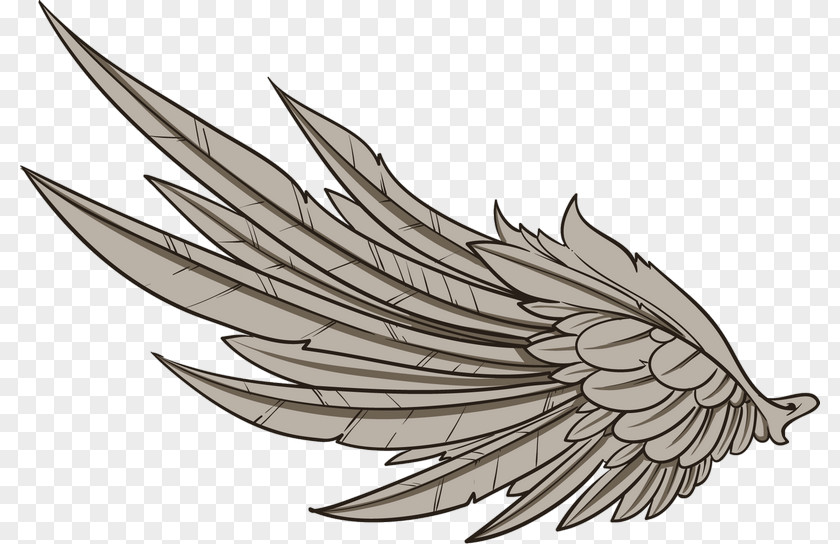 Feather Line Art Drawing PNG