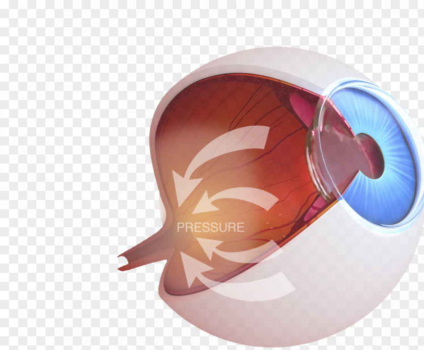 Female Genital Cutting The Eye In 3D Hardcover Mutilation PNG in genital mutilation, book clipart PNG