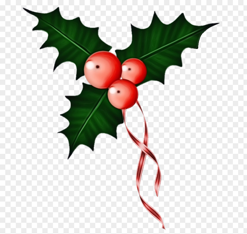Fruit Branch Holly PNG
