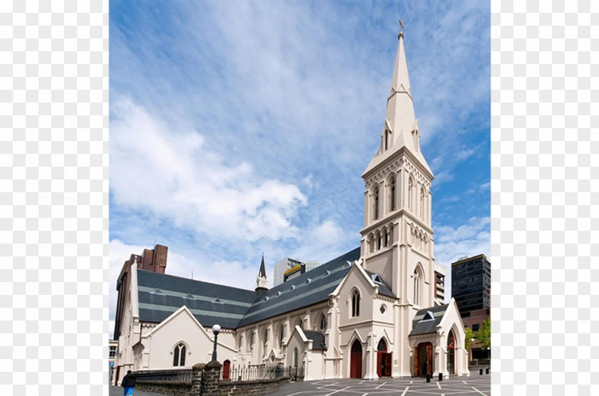 St Patrick's Day Patrick's Cathedral, Auckland Joseph's Dunedin Basilica, Fremantle Roman Catholic Diocese Of PNG