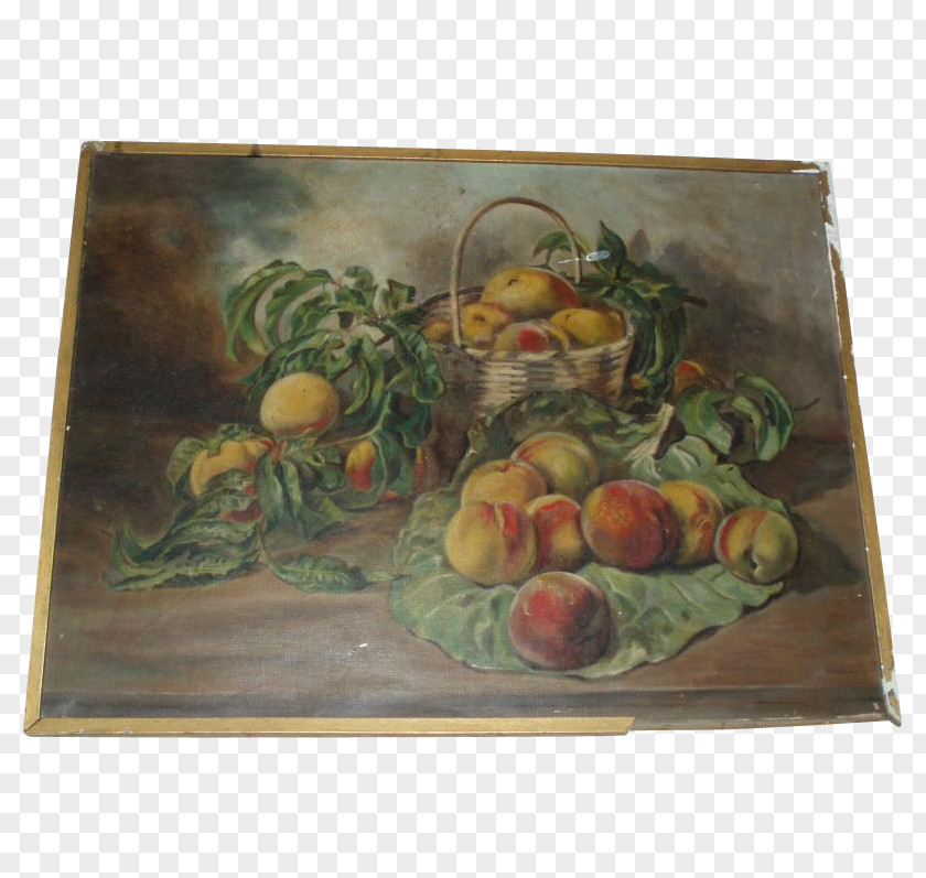 Watercolor Painted Peach Still Life Photography Fruit PNG