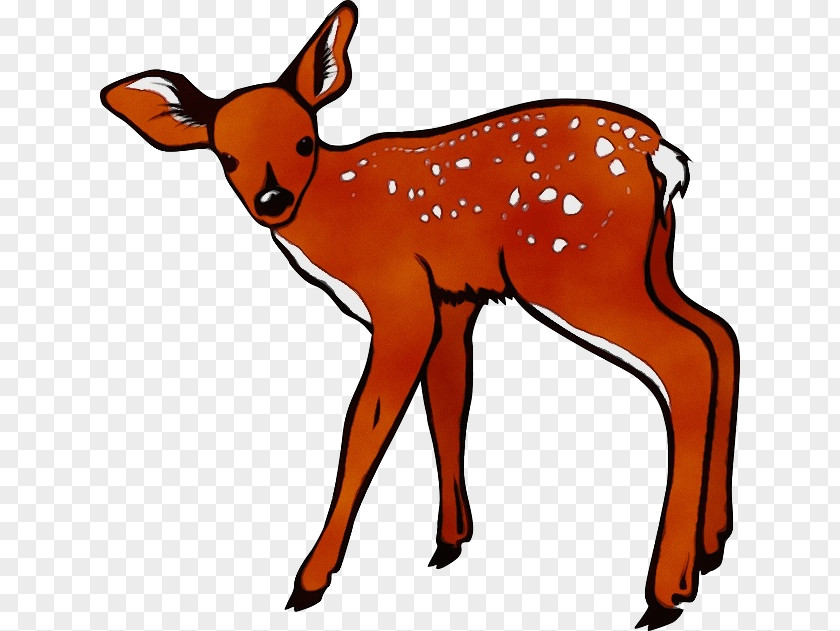Clip Art White-tailed Deer Openclipart Free Content PNG