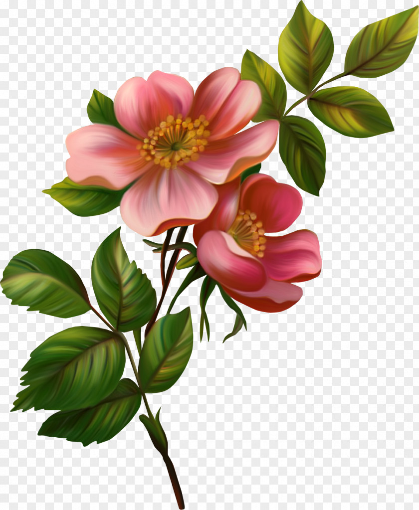 Chinese Flower Clip Art PNG