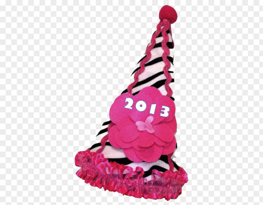 Hat Party Shoe Pink M PNG