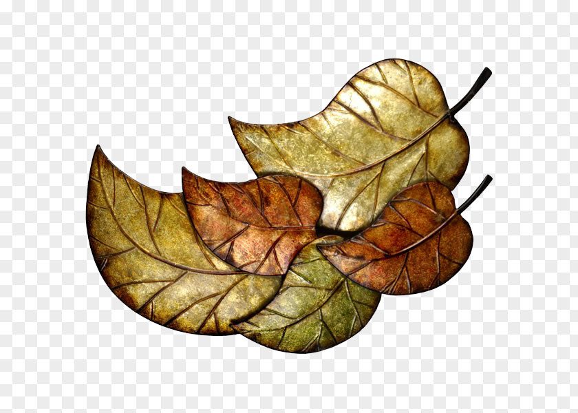 Leaf RGB Color Model PNG
