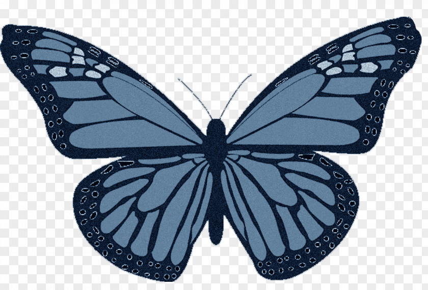 Blue Butterfly Non-Hodgkin Lymphoma T-shirt Cancer Hodgkin's PNG