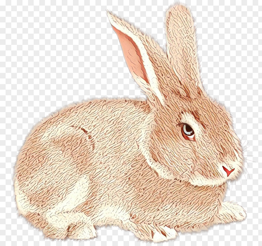 Domestic Rabbit Hare Netherland Dwarf Lt. Judy Hopps PNG