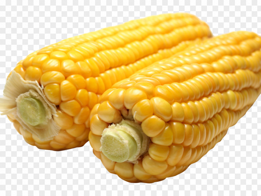 Popcorn Corn On The Cob Esquites Sweet Kernel PNG