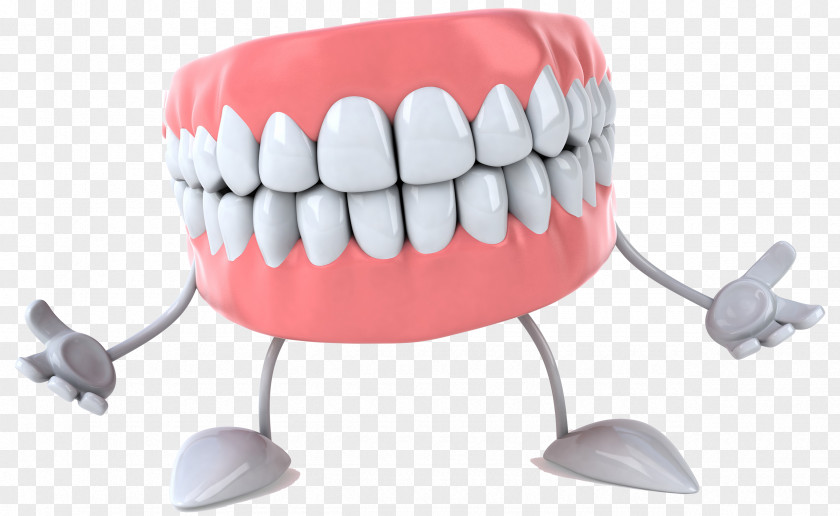 Cartoon Teeth And Gums Tooth Dentistry Dentures PNG