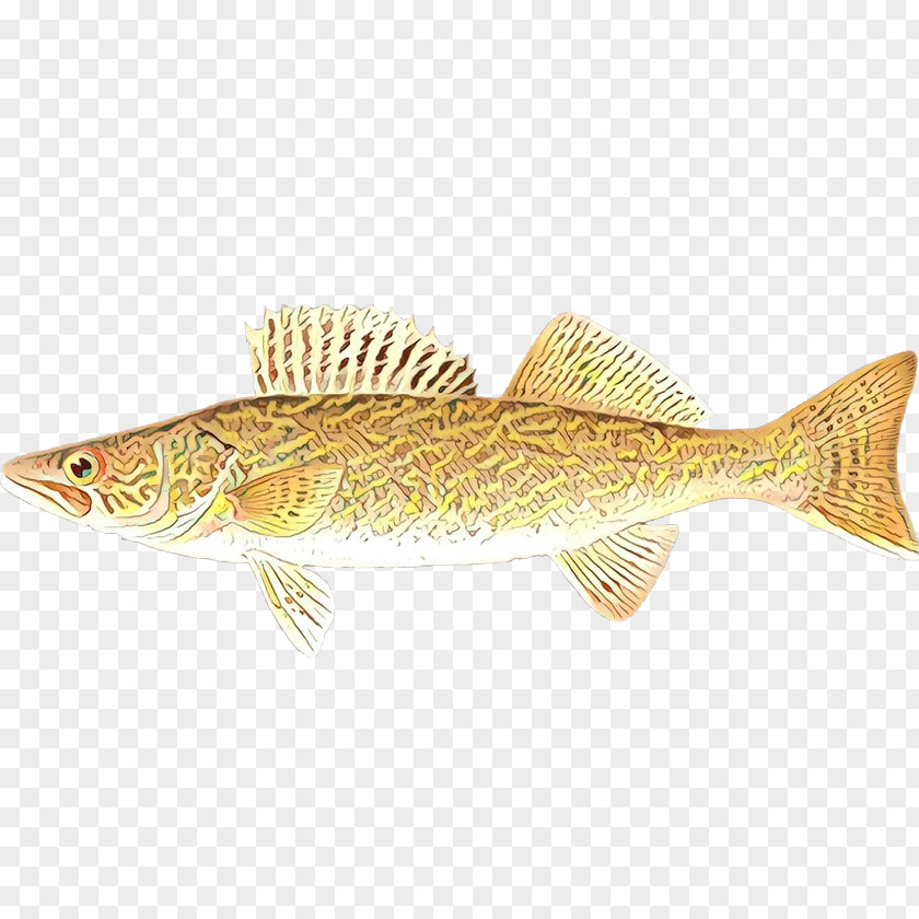 Fish Bony-fish Ray-finned Trout PNG