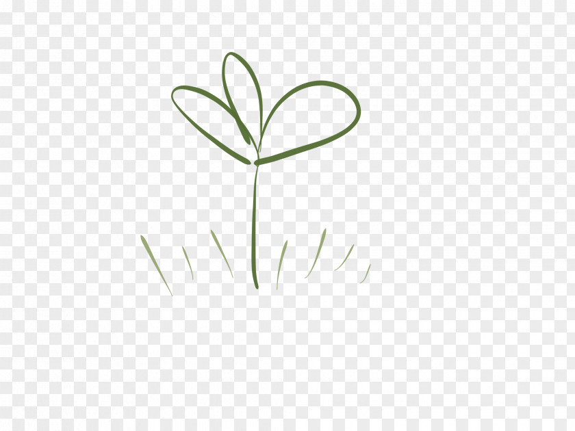 Leaf Logo Font Plant Stem Flower PNG