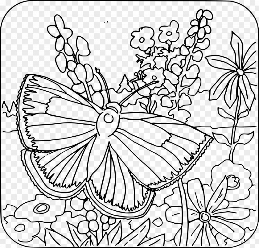 Child Coloring Book Adult Butterfly Page PNG