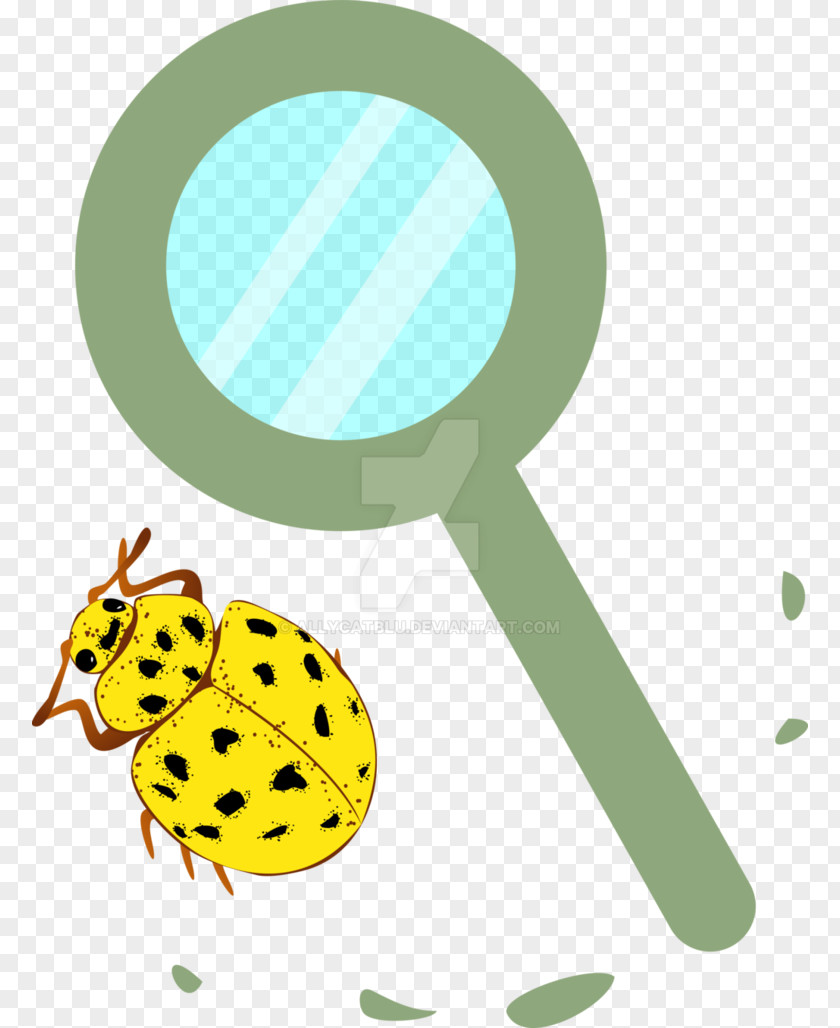 Insect Leaf Clip Art PNG