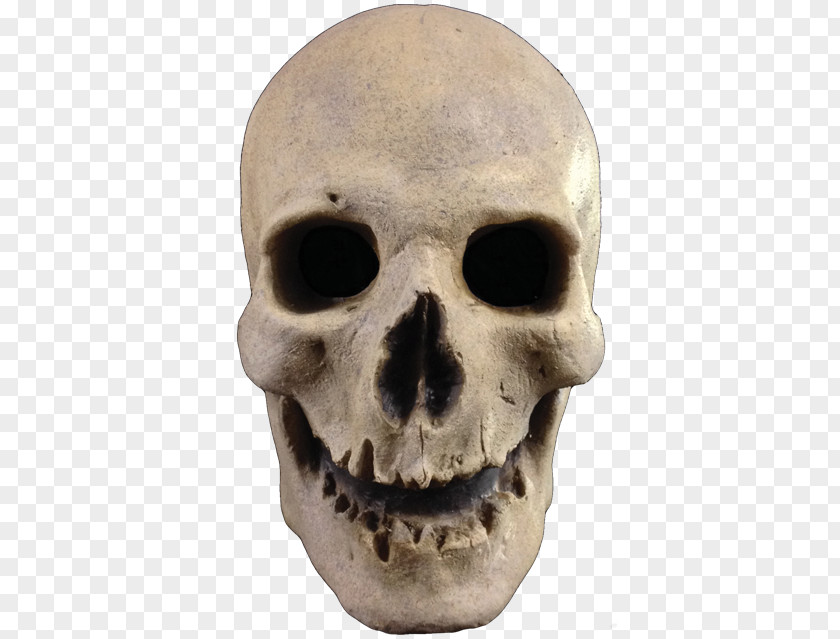 Masked Skull Mask Halloween Costume Human Skeleton PNG