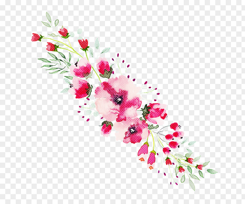 Petal Floral Design PNG