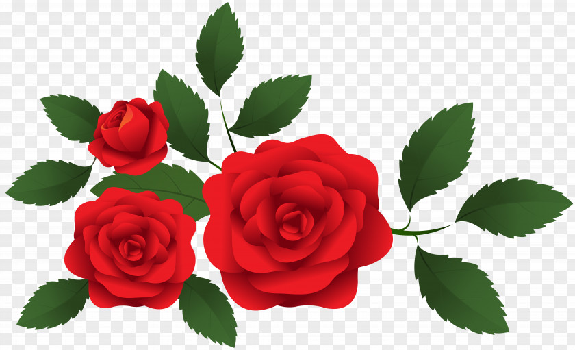 Red Roses Decoration Clip Art Garden PNG
