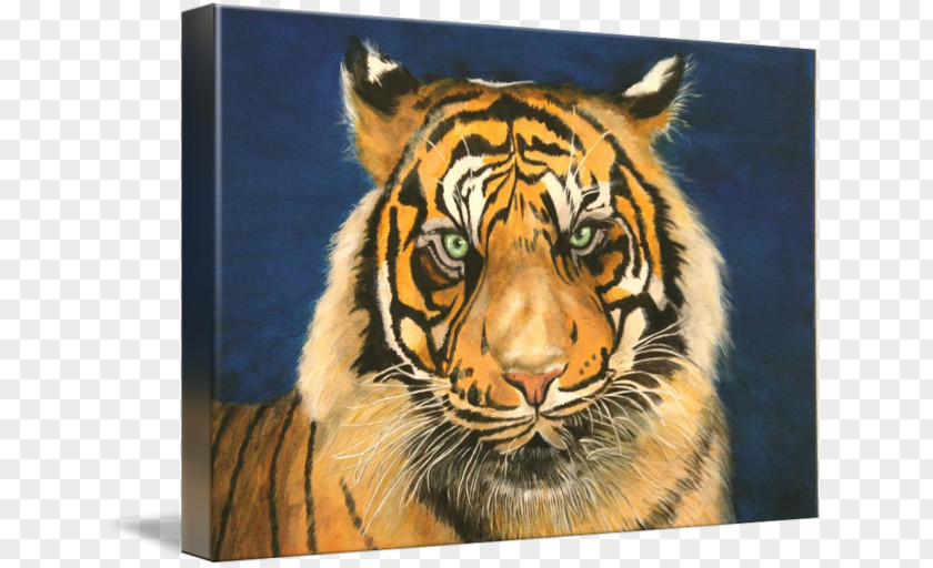 Tiger Painting Art Whiskers Wildlife PNG