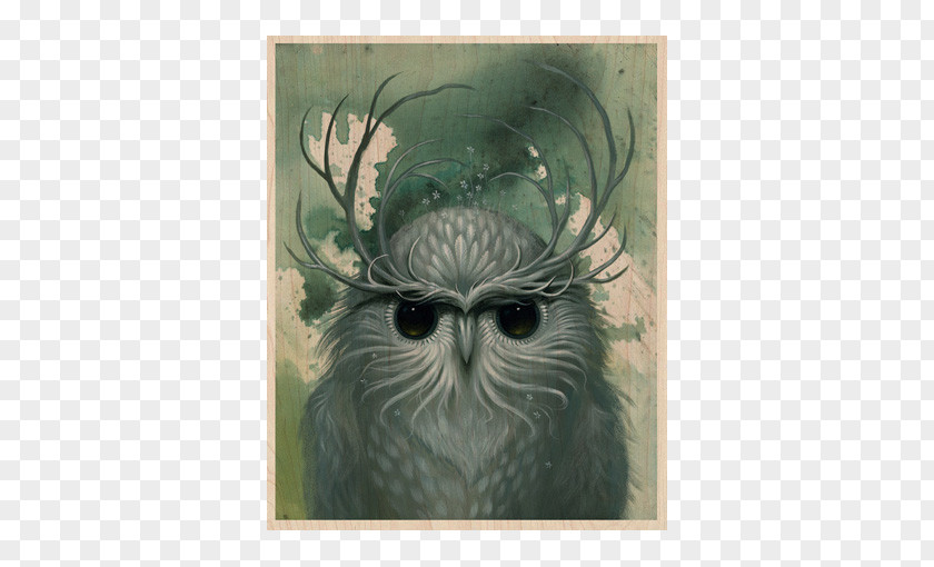 Watercolor Owl Painting Artist Drawing PNG