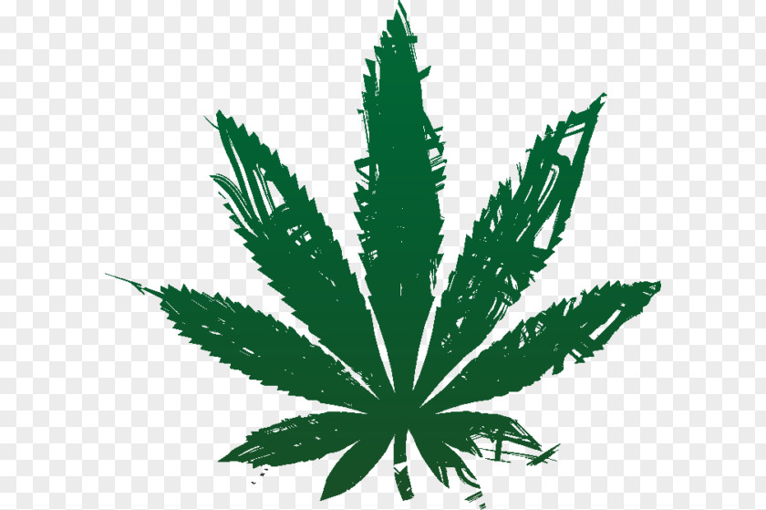 Cannabis Clip Art Openclipart Vector Graphics Illustration PNG